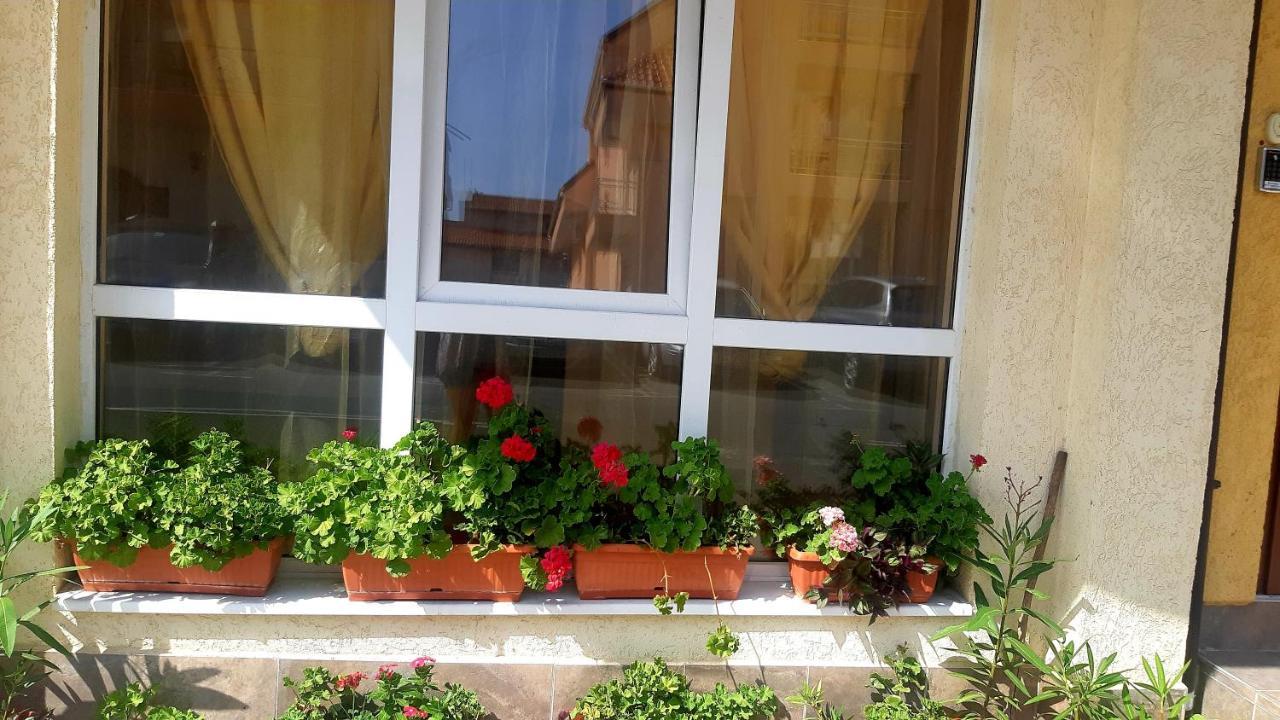 Къща За Гости Вълчеви Несебър Экстерьер фото
